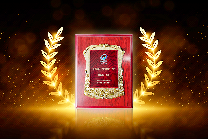 2021长沙专精特新