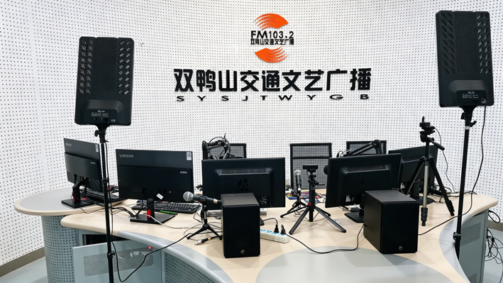 网站典型案例_双鸭山市广播电视台